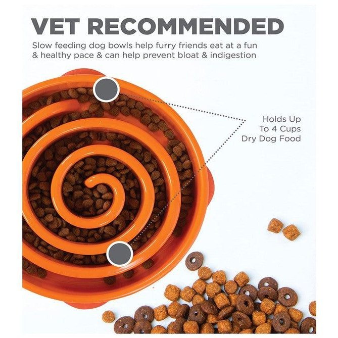 Taza para alimento de perro
