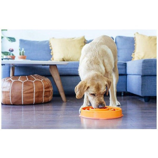 Taza para alimento de perro