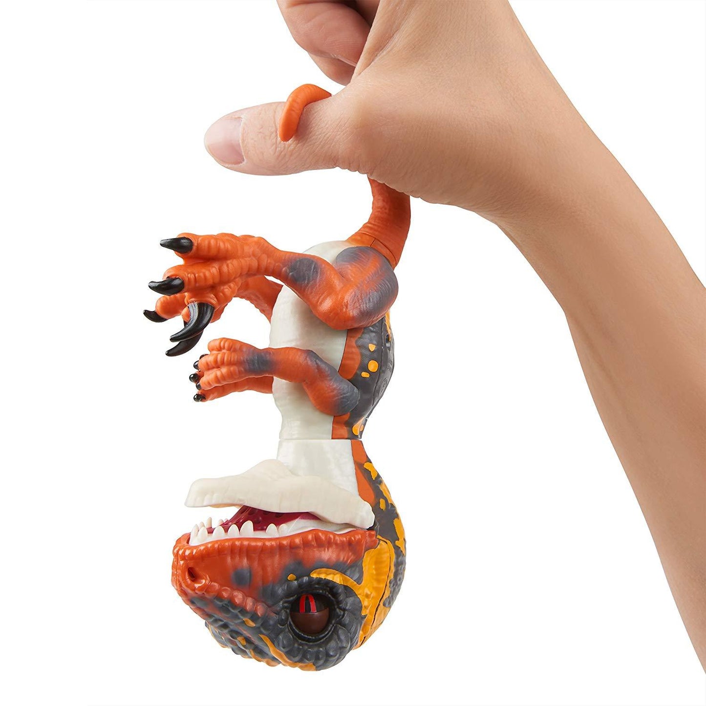 Raptor by Fingerlings - Blaze (Untamed) - The Gift Shop Costa Rica