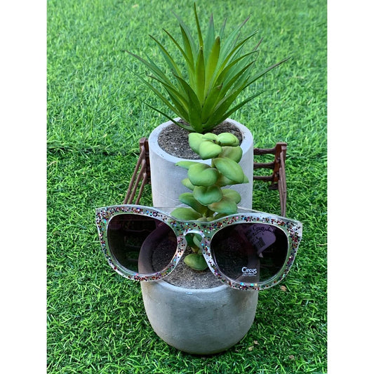 Lentes de Sol - Circus - The Gift Shop Costa Rica