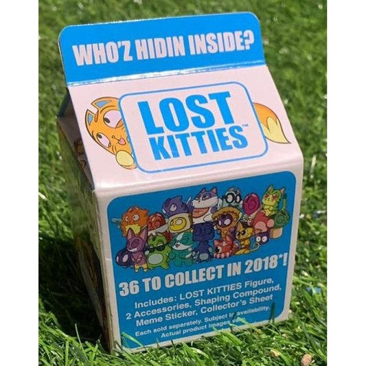 Lost kitties Gatos perdidos caja pequeña